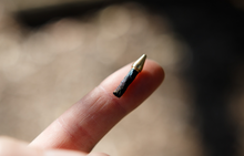 Load image into Gallery viewer, Replacement Plugs - 5 Pack